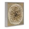 Stupell Industries Abstract Dandelion Flower Full Bloom Framed Giclee Art